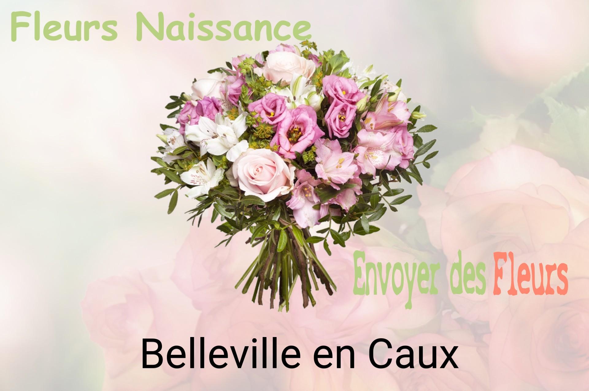 Bouquet de fleurs de naissance livré à Belleville-en-Caux